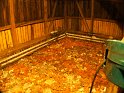 DSCF3641