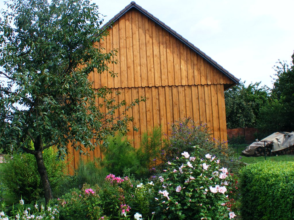 DSCF0288.JPG
