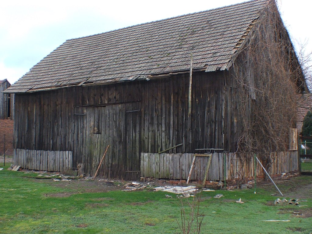 DSCF0381.JPG