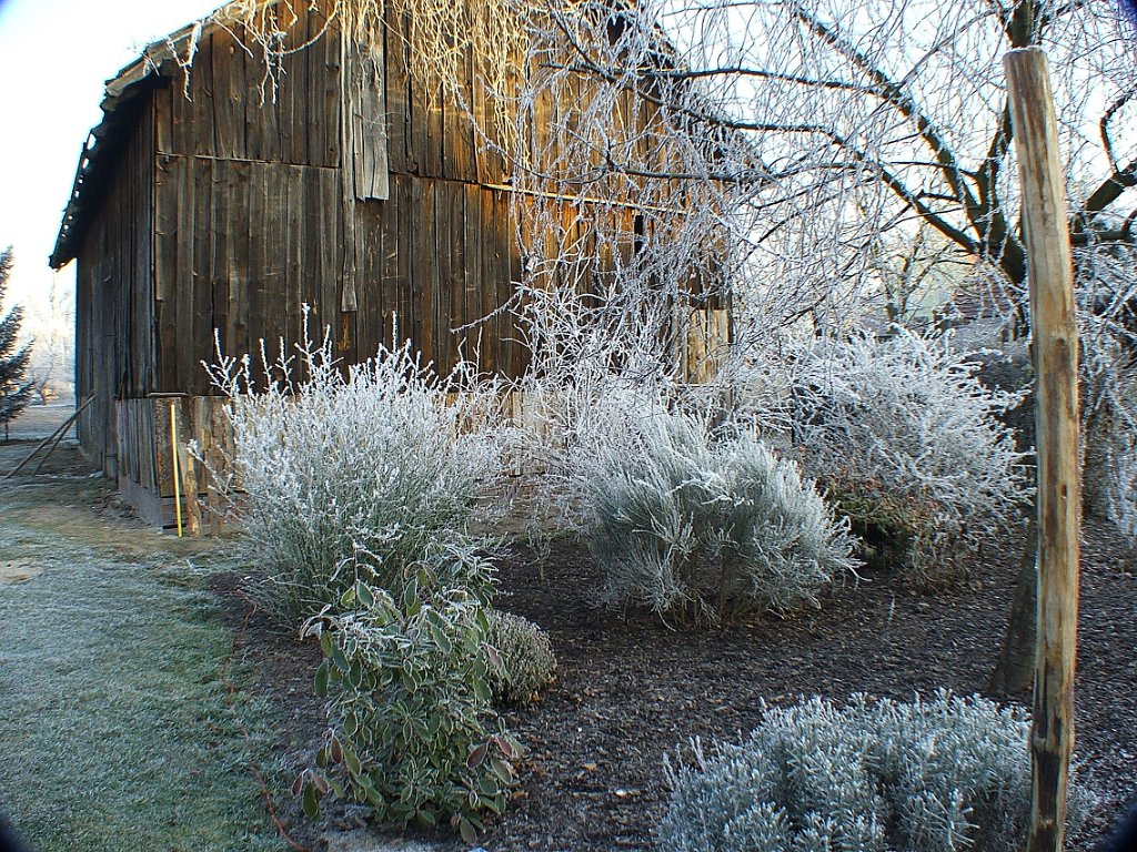 DSCF3607.JPG